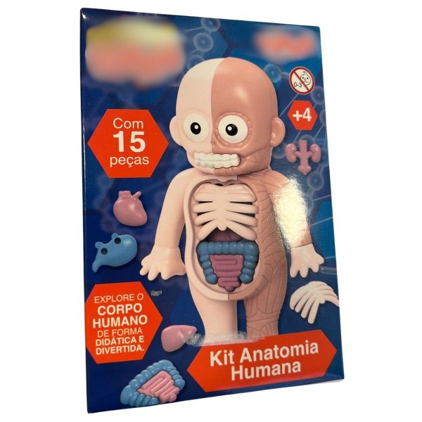 Kit Anatomia Humana